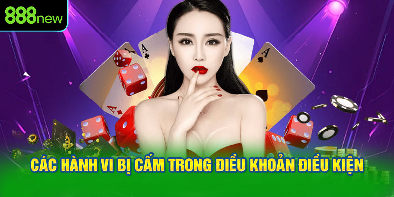 Các hành vi bị cấm trong điều khoản điều kiện của 888NEW
