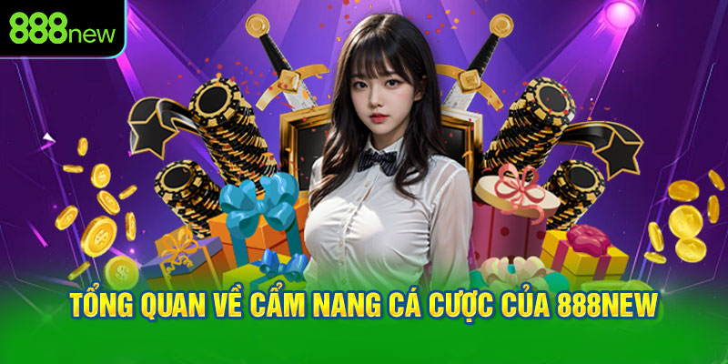 Tổng quan về cẩm nang cá cược của 888NEW